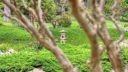 Japanese Garden - Cowra 